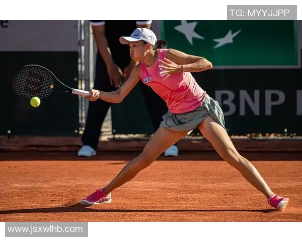 勒普琴科的职业生涯回顾与未来展望:从网球场上的辉煌到人生的新篇章