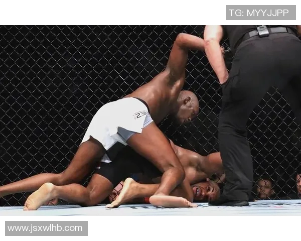 霍洛威与埃德加的巅峰对决UFC赛场上的荣耀之战